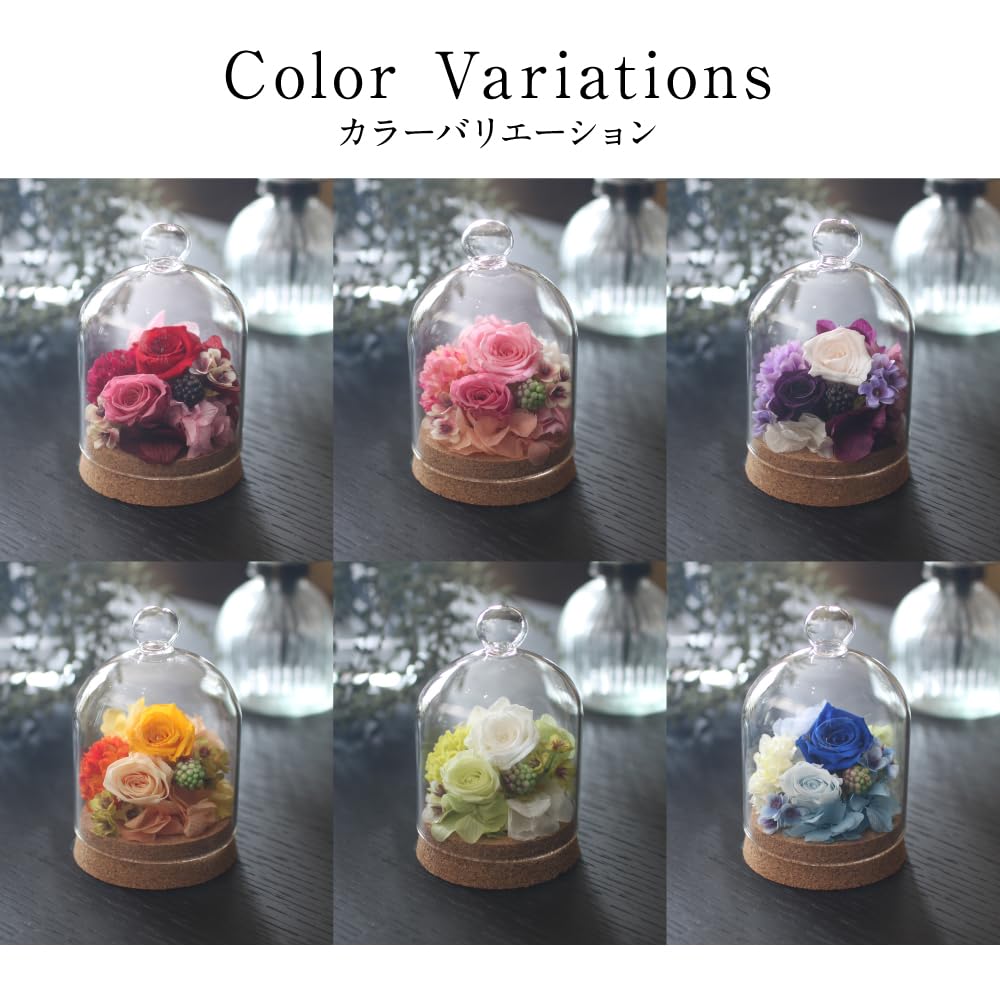 Konservierte Blume Petit Dome, Handgefertigte Materialien, Getrocknete Blumen, Geschenke, Feiern, Jahrestage, Geburtstage, Blumenarrangements, Blumengeschenke, Neve