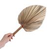 Decoration Home Tropical Bohemian Boho Trimmed Leaves Fan Leaf Dried Plant Palm Spears