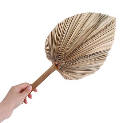 Party Office Tropical Boho Trimmed Bohemian Leaves Palm Spears Dried Plant Fan Leaf