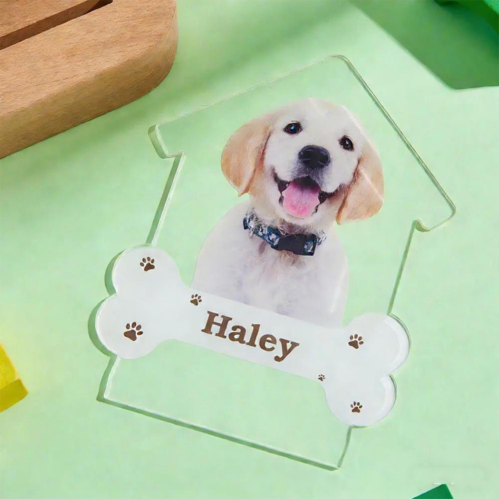 Personalized Pet Portrait Engraved Night Light Puppy Night Light Pet Photo Keepsakes Photo Night Light Birthday Gift for Friends