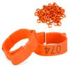 100pcs Poultry Foot Ring Chicken Duck Bird Buckle Type Clip Ring with Sign Feeding Supplies
