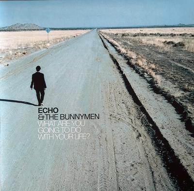 LP Record ECHO & THE BUNNYMEN - What Are You Going To Do With Your  LMS1725456 LONDON 2025 Worldwide Rock