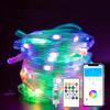 RGB-IC LED Light String USB Bluetooth&Remote WS2812B Fairy Lights Festoon Waterproof Christmas Garland Home Wedding Party Decor