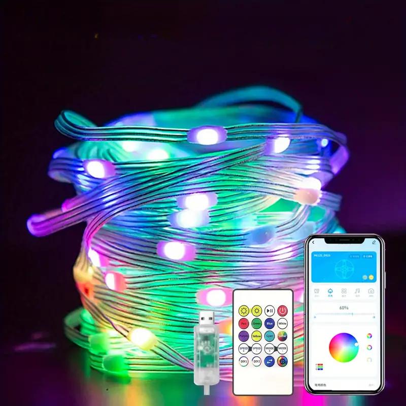 RGB-IC LED Light String USB Bluetooth&Remote WS2812B Fairy Lights Festoon Waterproof Christmas Garland Home Wedding Party Decor