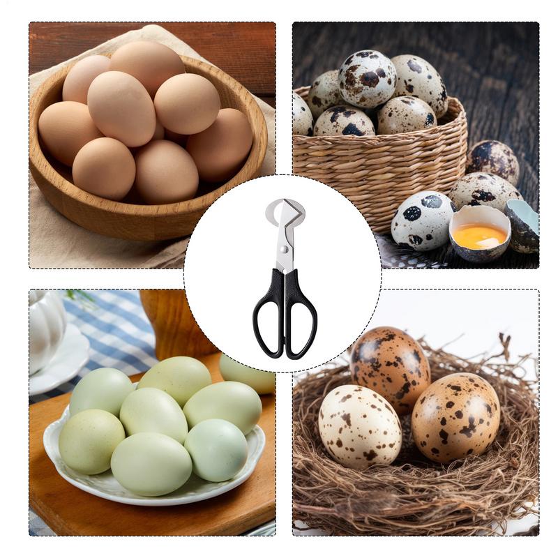 Quail Egg Scissor Kitchen Tools Durable Quail Egg Shell Scissors Rust Resistant Stainless Steel Blade Egg Shell Opener