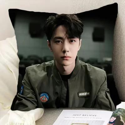 Wang Yibo Yebo Poster Federa Stampata su Due Lati Film Cinese Nato per Volare Lei Yu Fotogrammi Drammatici Decorazione Casa Auto Copricuscino