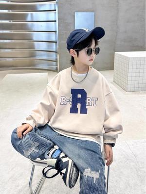 Boys' Long-Sleeve Round Neck Pullover Sweatshirt for Autumn 2025 - New Style for Kids
