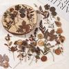 JIANQI 40 Pcs Dried Flower Collection Record PET Stickers Decorative Handmade Scrapbooking Material Diary Album Craft Supplies