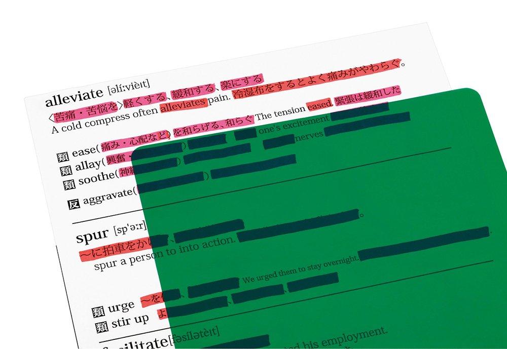 Zebra Memorization Check Alpha Set, Pink/Green, 10-Piece Set, B-P-SE-WYT20-PG