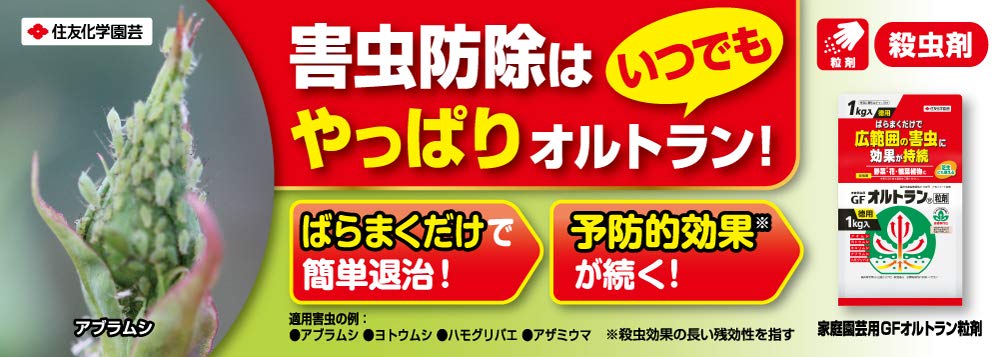 Sumitomo Chemical Gardening GF Ortran Granules Insecticide for Home for Aphids Gardening, 1.6kg, Systemic,