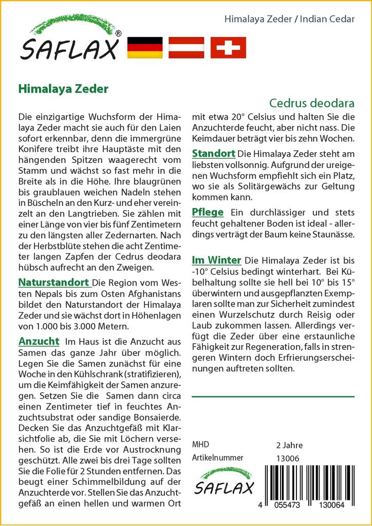 SAFLAX India seeder - 35 seemet - Cedrus deodara