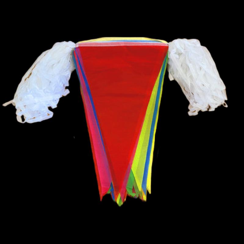 100m Colorful Triangular Pennant String Flags