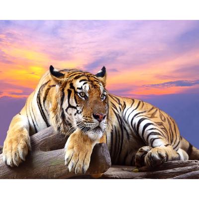 DIY 5D plná diamantová malba Tiger Cross Stitch Diamantové vyšívání