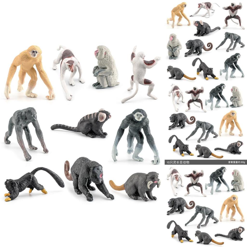 Primate Animal Chimpanzee Lemur Model Collection Pvc Static Figures For Classroom Teaching And Decor