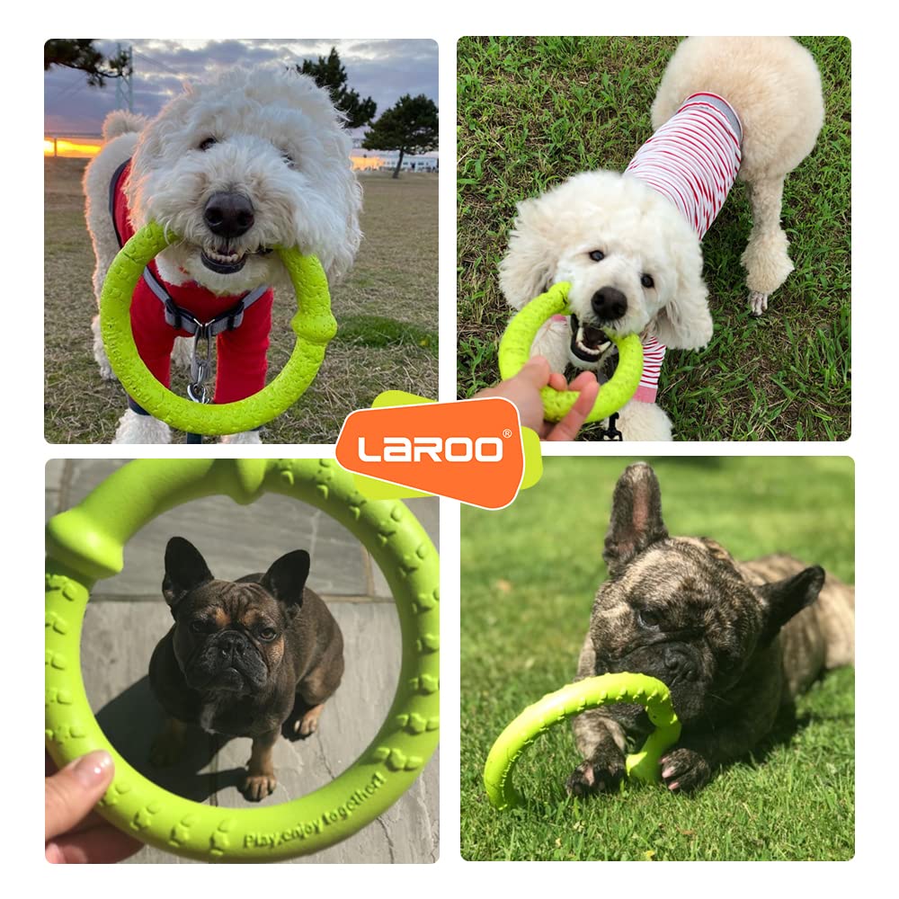 LaRoo Teddy Hund Dental Kauspielzeug Langlebig für Kleine Runde Frisbee 18cm Stressabbau und Mittel für Haustierintelligenz Schwimmendes Trainingsspielzeug, Hunde,