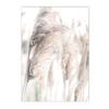 Béžový Bunny Tail Grass Nástěnné plakáty Přírodní pampy Reed Obraz na plátně Květinový umělecký plakát Malba Severské nástěnné obrazy Home Decor