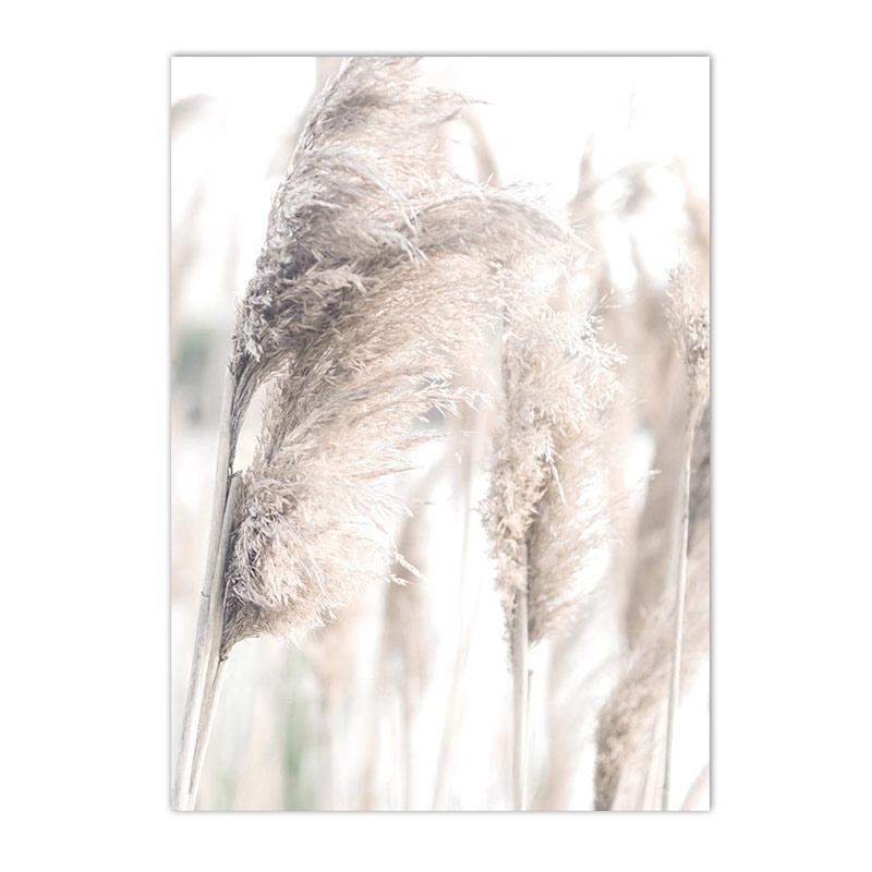 Béžový Bunny Tail Grass Nástěnné plakáty Přírodní pampy Reed Obraz na plátně Květinový umělecký plakát Malba Severské nástěnné obrazy Home Decor