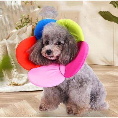 Köpek – Köpek bakım ürünleri