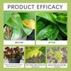 Plant Nutrient Drops, Fertilizer For Potted Plants, Daily Maintenance Solution For Plant Root, 100ml
