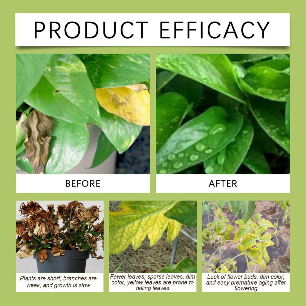 Plant Nutrient Drops, Fertilizer For Potted Plants, Daily Maintenance Solution For Plant Root, 100ml