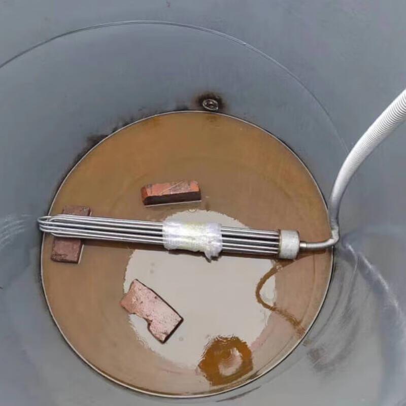 Industrial Explosion-Proof Submersible Electric Heater