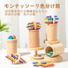 Montessori Color Sorting Tubes Educational Toy, Wooden Toy for Toddlers, Learning Tool, Educational Toy, Birthday Gift for Boys and Girls (3-in-1
