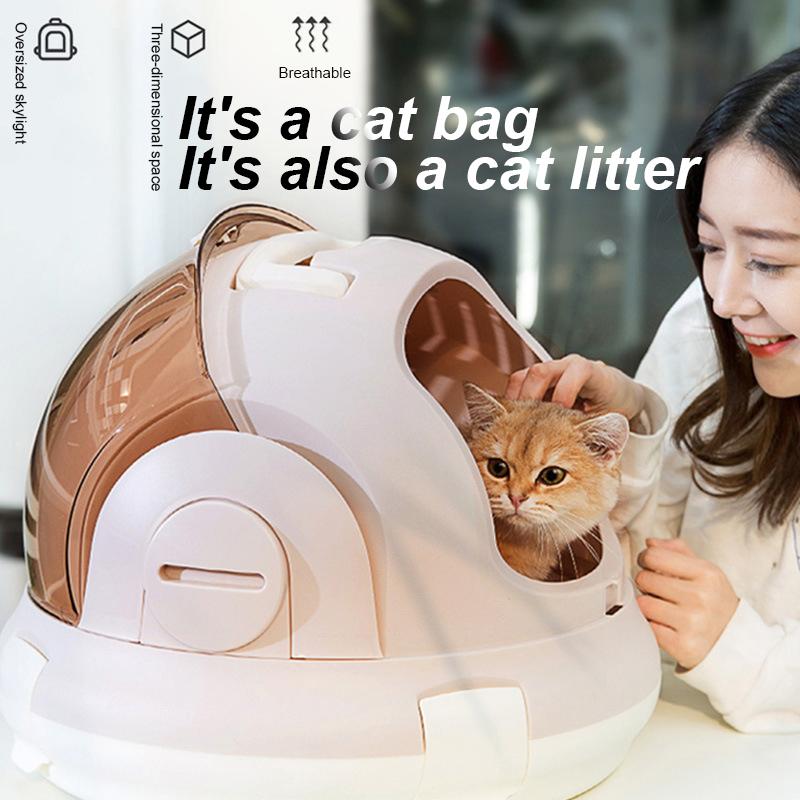 cat space capsule