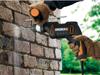 Ударная дрель Worx WX317.2 600W