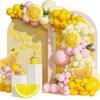 Fruit Theme Decorative Ballon Set Multicolor Party Balloons Creative Ballon Arch Kit  Gift
