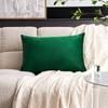 Solid Color Velvet Decorative Pillowcase Unique And Festive, Full Of Holiday Vibe