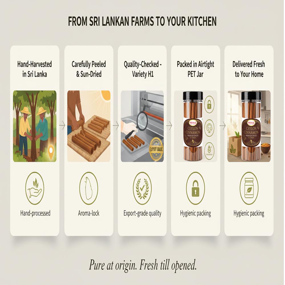 Echte Ceylon-Zimtstangen - Stangen aus Sri Lanka, Luftdichtes PET-Glas | Bibhakar Spices