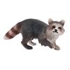 Wildtier Nordamerikanischer Waschbär Figuren Miniaturmodell