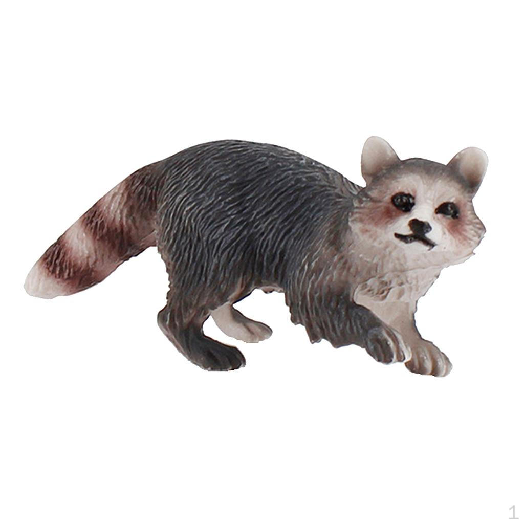 Wildtier Nordamerikanischer Waschbär Figuren Miniaturmodell