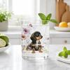 Whiskey Glass, Dachshund Glass Tumbler, Hand Painted Dog Floral Cup for Whiskey Coffee, Home Bar Gift for Dog Lovers