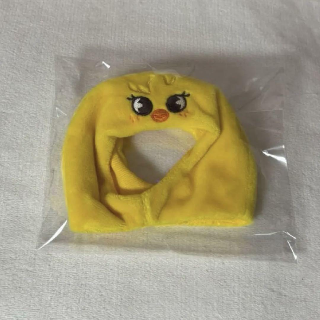 

[USED] straykids POGARI Penlight Cover ver.2