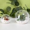 Terrarium Container Blume Flasche Sukkulente Hydrokultur Pflanze Vase