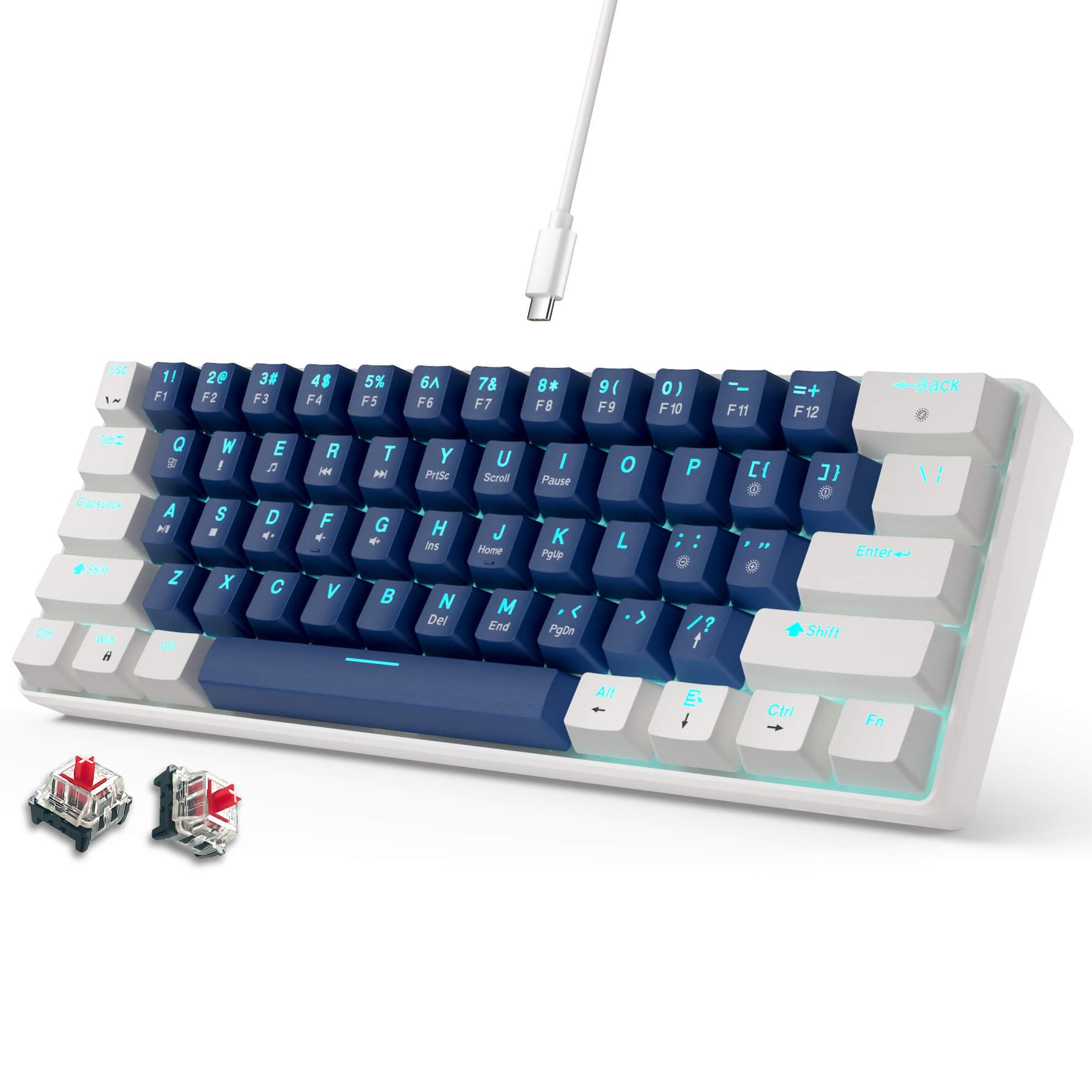 

abucow Mechanical Gaming Red Full Simultaneous Key 61 Interchangeable Ergonomic Compatible and 60% Keyboard, Switches, Wired, Compact, Anti-Ghosting,