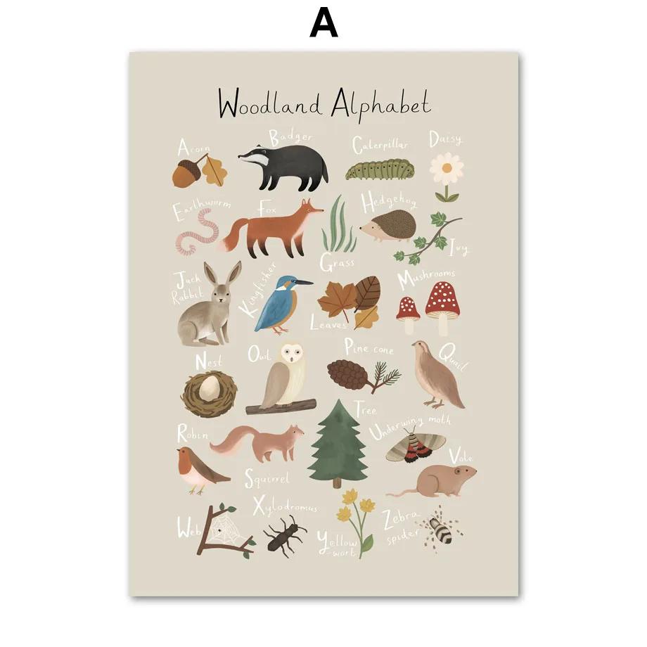 

Woodland Alphabet World Map Posters for Kids Room Decor, Wall Pictures, Seasons, Shapes, Leaf, Weather Chart, Fish, USA, Canvas 21x30cm No Framed