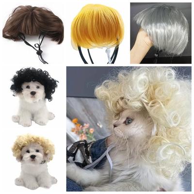 Roztomilý pes kočka Cross-dressing hair Photography žert Potřeby pro domácí mazlíčky Party Pet Paruky dárek