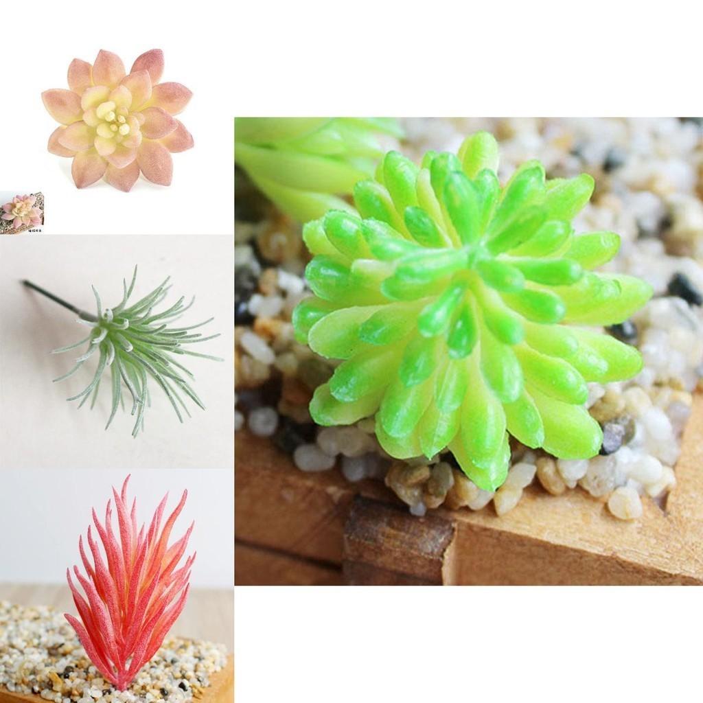 Wunderschön gearbeitete Mini-Künstliche Sukkulenten für Lebensechte Heim- und Bürodekoration