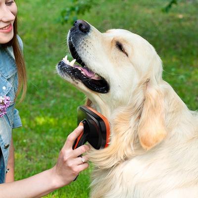 Babion Pet Automatic Hair Removal Soft Slicker Pin Brush L, Korean Pet Shampoo