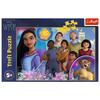 16474 "100" - Wish / Disney