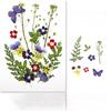 Diy Handmade Embossed Bookmarks 6 Colors Dried Flower Embossing Kit Dried Flower Hand Paste Face Makeup Leaf Veins Dried Flowers
