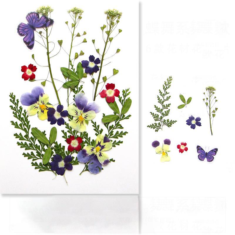Diy Handmade Embossed Bookmarks 6 Colors Dried Flower Embossing Kit Dried Flower Hand Paste Face Makeup Leaf Veins Dried Flowers