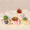Flower Planter Ornament Ceramics Bonsai Accessories Succulent Potted Garden Supplies Flowerpot