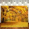 2D Plane 1 Piece of Autumn Landscape Photography Background Polyester Yellow Leaf Forest Scene