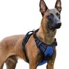 Model Dog Rabbitgoo Dog Harness for Dogs Adjustable No Head Reflective Material for Nighttime Secure Cough Walking Senior Dog Care Easy To Put On and