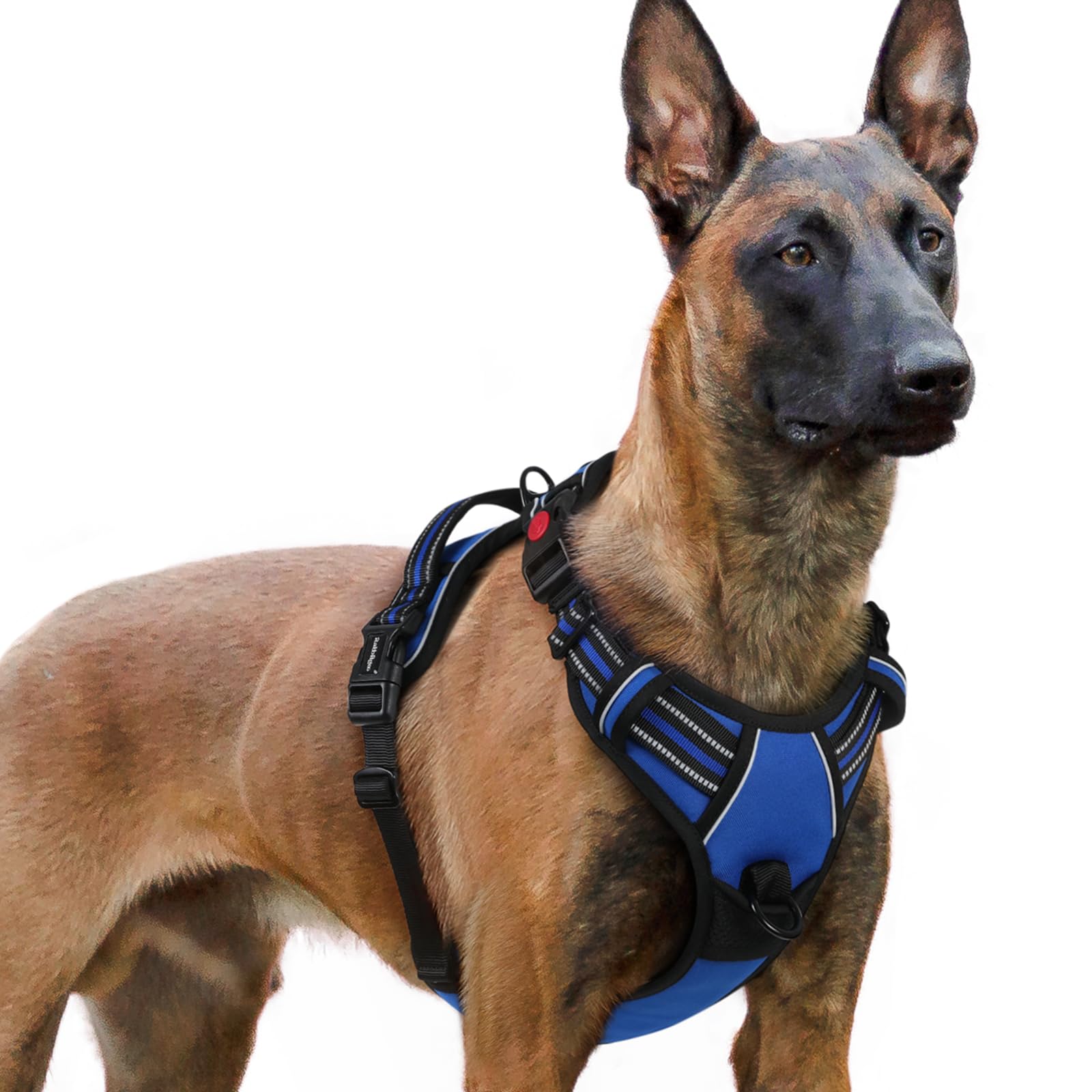 

Model Dog rabbitgoo Dog Harness for Dogs Adjustable No Head Reflective Material for Nighttime Secure Cough Walking Senior Dog Care Easy to Put On and синій