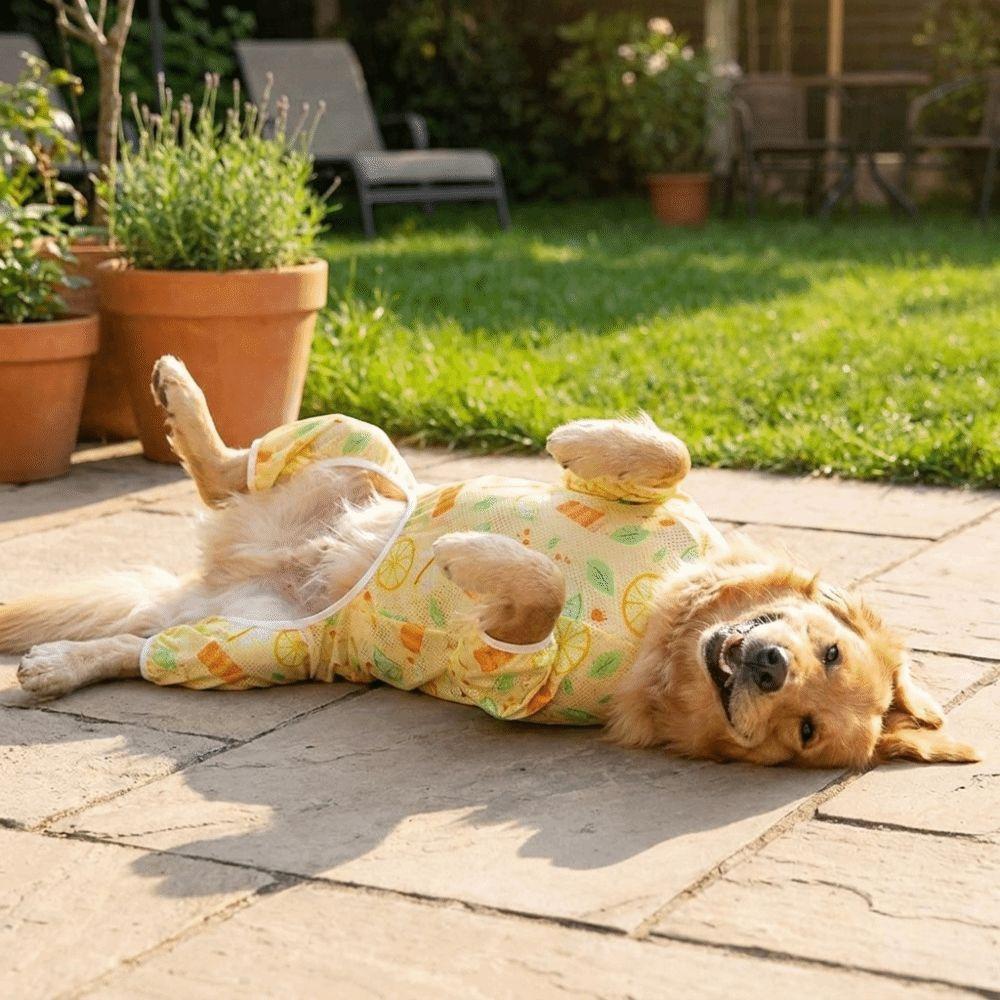 Sonnenschutz Haustier Vierbeiner Kleidung Cartoon Print Hund Overall Kühlend Hundekleidung Reisen