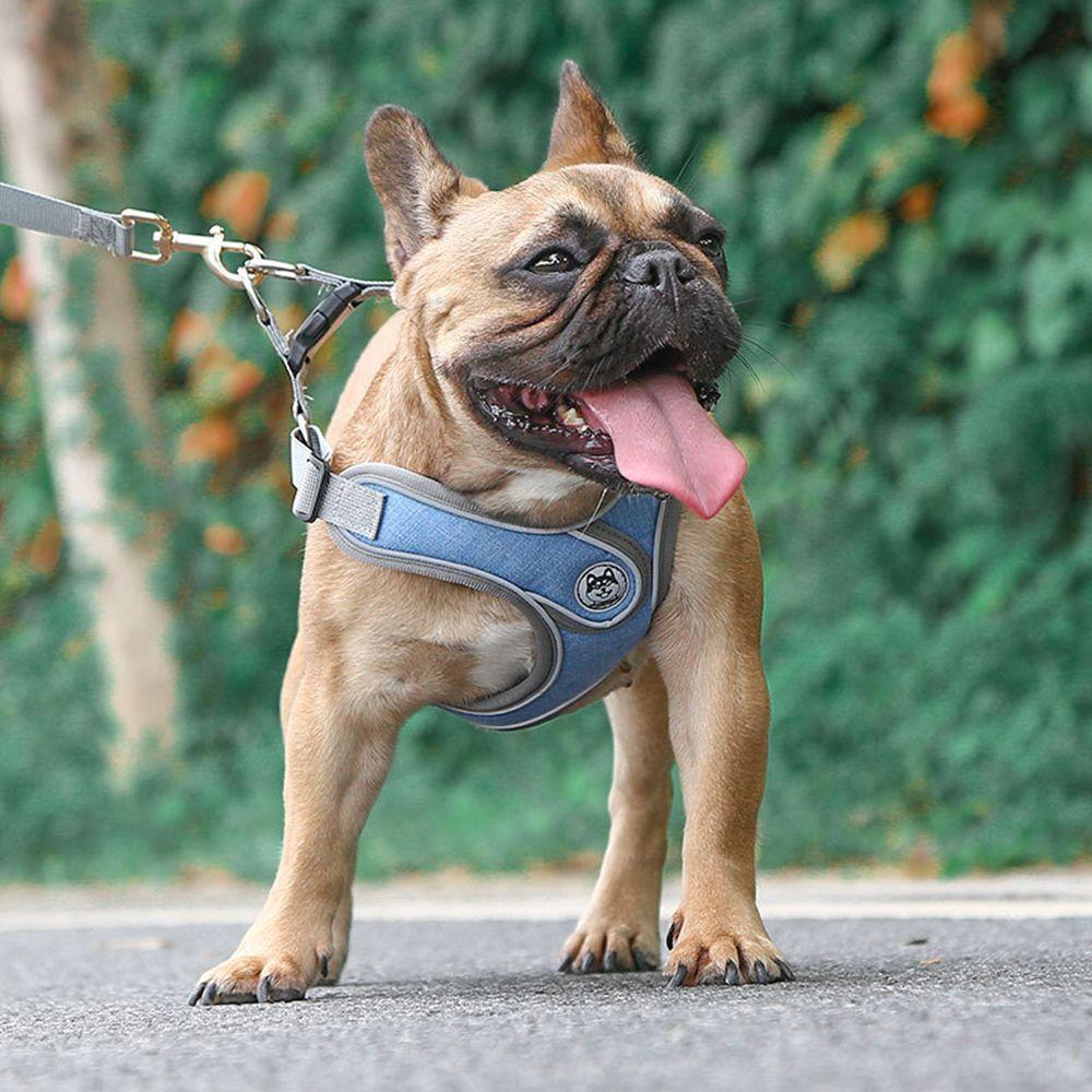 soft dog harness